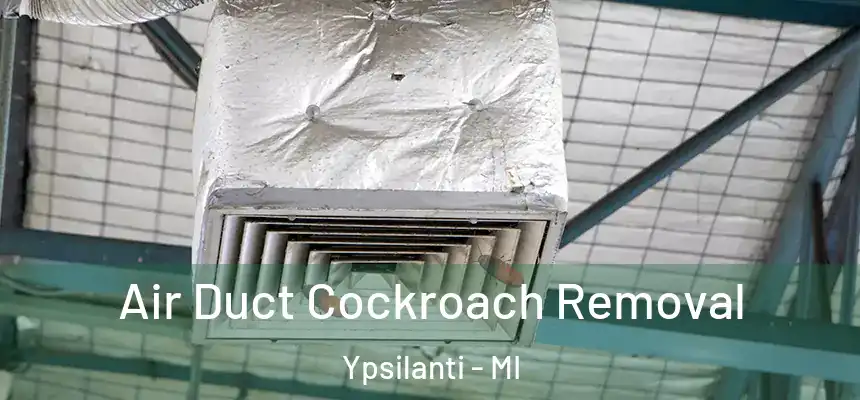  Air Duct Cockroach Removal Ypsilanti - MI