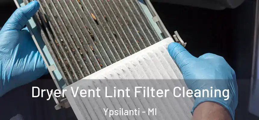  Dryer Vent Lint Filter Cleaning Ypsilanti - MI