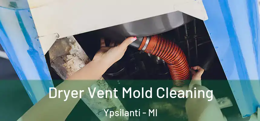  Dryer Vent Mold Cleaning Ypsilanti - MI