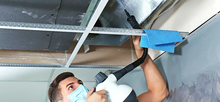 Our Air Duct Rodent Removal Services in Ypsilanti, MI