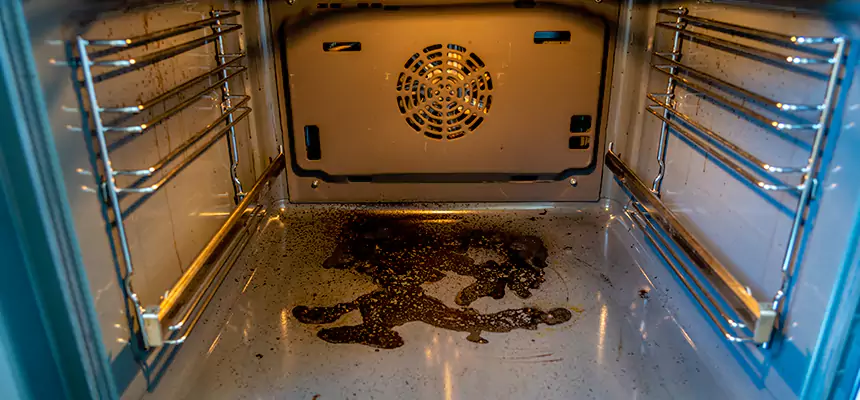 Our Dryer Vent Mold Cleaning Services in Ypsilanti, MI