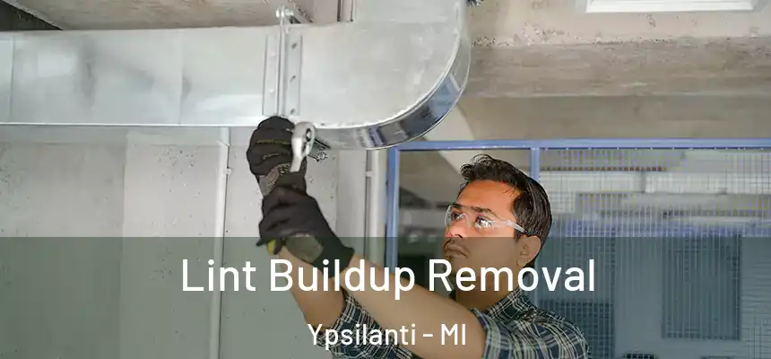  Lint Buildup Removal Ypsilanti - MI