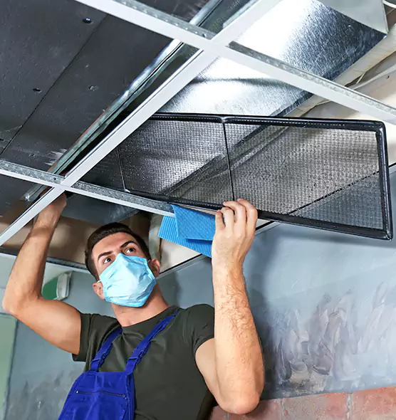 About Air Duct Bacteria Removal in Ypsilanti