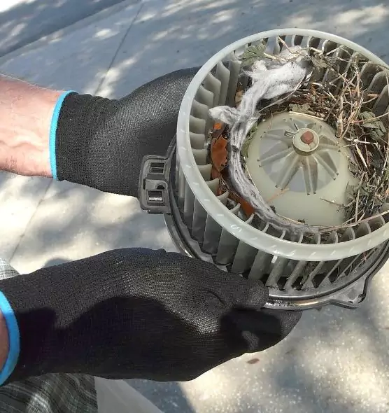 About Air Duct Rat Removal in Ypsilanti, MI