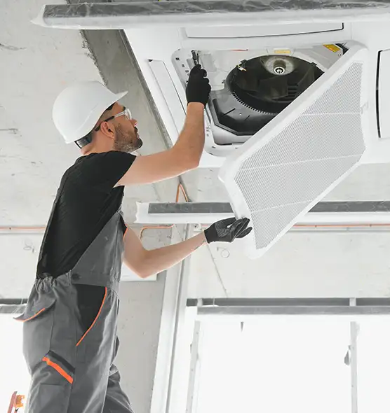 About Air Duct Rodent Removal in Ypsilanti, MI