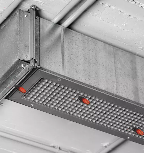 Affordable Insect Removal from Air Ducts in Ypsilanti, MI