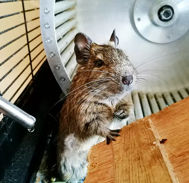 Why Homeowners & Businesses Trust Us Ypsilanti, MI